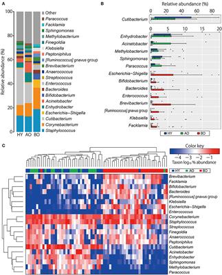 Distinct Skin Microbiome and Skin Physiological Functions Between Bedridden Older Patients and Healthy People: A Single-Center Study in Japan